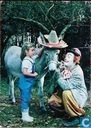 Pipo de Clown - No 03