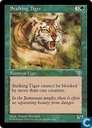 Stalking Tiger