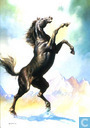 Stallion