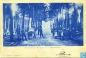 's Heerenstraat. Zuidzijde - 's Gravenzande)