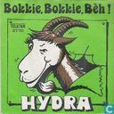 Bokkie, bokkie, bèh!
