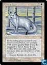 Arctic Foxes