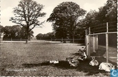 Hertenkamp