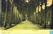 's GRAVENZANDE Heerenstraat.