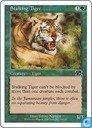 Stalking Tiger
