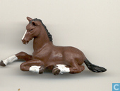 filly