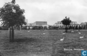 Hertenkamp 