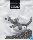 Aap 1