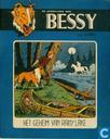 Het geheim van Rainy Lake