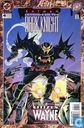 Legends of the Dark Knight Annual # 4