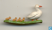 Duck with chicks