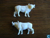 Buffels