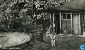 Hertenkamp