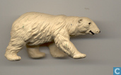 Polar Bear Walking
