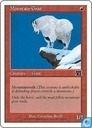 Mountain Goat