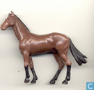 Paard