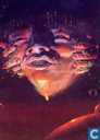 The Melting Face