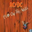 fly on the wall