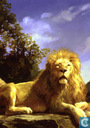Philadelphia Lion
