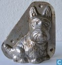 Hond
