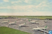 Transavia - Caravelle (05)