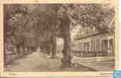 Drieboomlaan