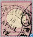 Adelaar klein borstschild