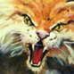 Don Maitz