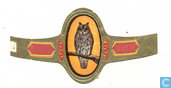 Dwergooruil