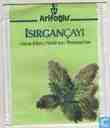 Isirgançayi