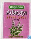 Adaçayi