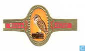 Kerkuil