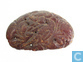 Bird with Lotus Leaf - Chinese charm / amulet made from  dark red amber