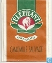 Camomille Sauvage