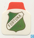 Fortuna '54, Geleen, semi-prof