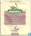 Adaçayi