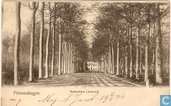 Prinsenhagen - Beukenlaan Liesbosch