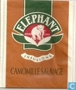 Camomille Sauvage