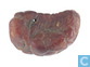 Chinees bird - leaf charm / amulett made from genuine amber 