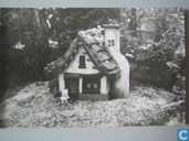 2.20 Huis van Tom Poes