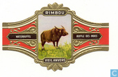 Waterbuffel