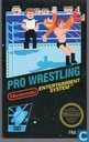 Pro Wrestling