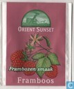Framboos 
