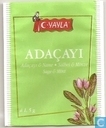 Adaçayi