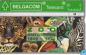 Zoo Antwerpen