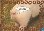 U000016 - Fotostock - Knor
