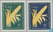 1954 F.A.O. (VNN 9)