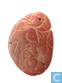 Bird with Lotus Leaf - Chinese charm / amulet made from amber 