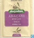 Adaçayi