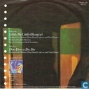 Vinyl-LP und CD - Plant, Robert - Little by little